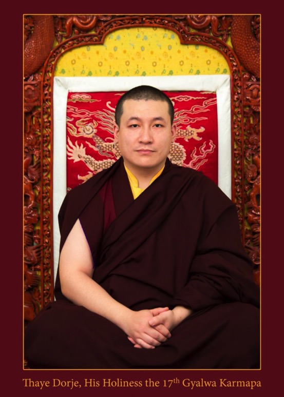 17th-karmapa-photo-official-768x1075